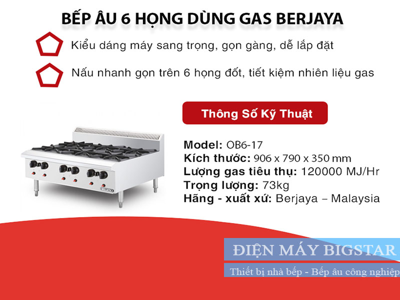 Bếp Âu 6 họng Berjaya OB6-17 24 bep au 6 hong berjaya5 OB6FS 17